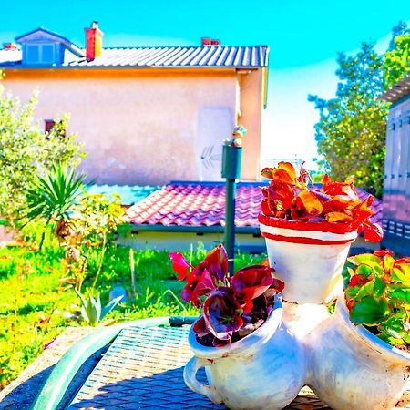 Vacation Home Grill & Chill With 350M2 Garden With Bbq โนวีวีโนดอลสกี ภายนอก รูปภาพ