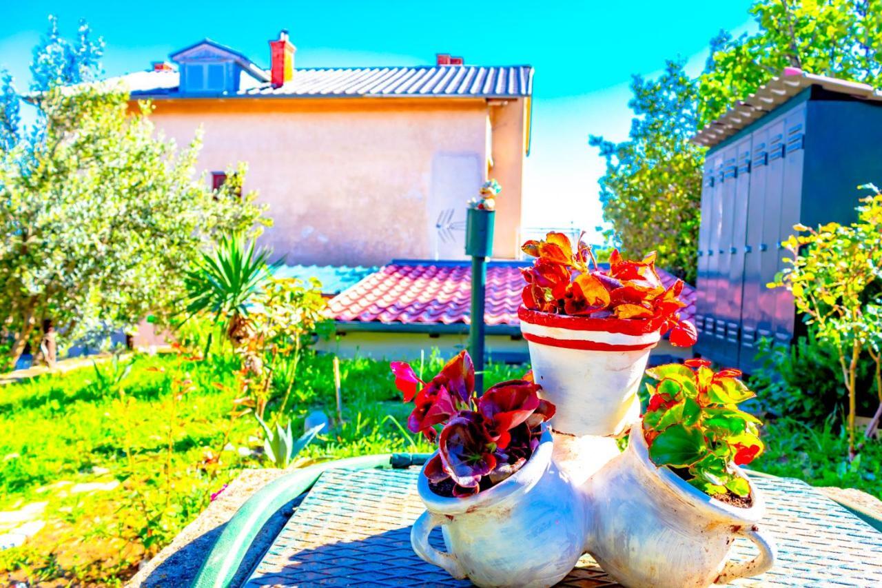Vacation Home Grill & Chill With 350M2 Garden With Bbq โนวีวีโนดอลสกี ภายนอก รูปภาพ