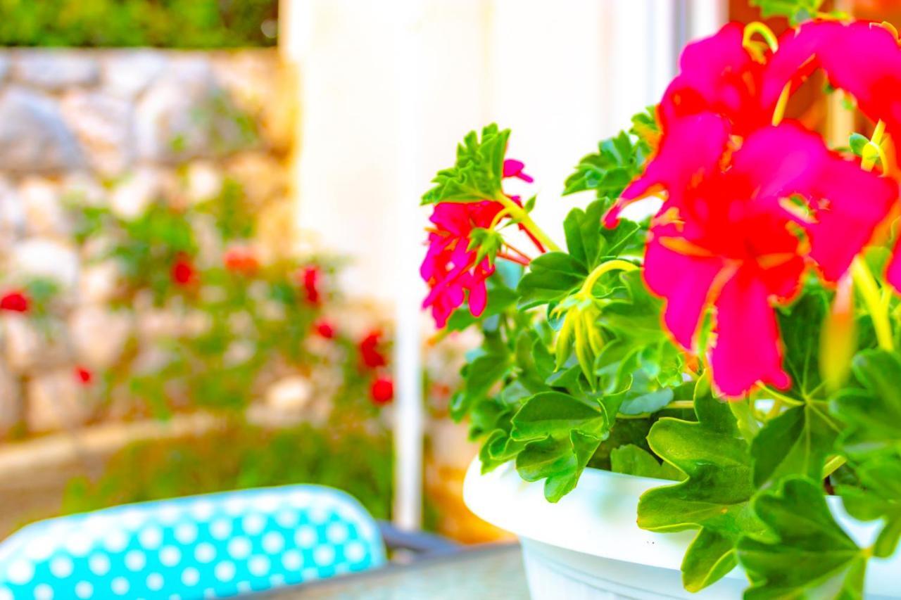 Vacation Home Grill & Chill With 350M2 Garden With Bbq โนวีวีโนดอลสกี ภายนอก รูปภาพ